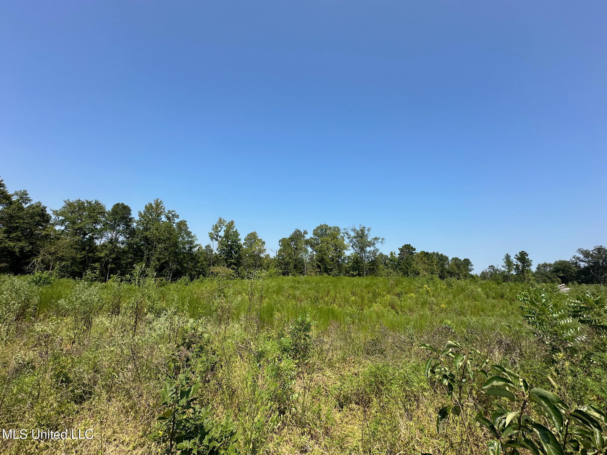 4 Prentiss Crump Road Property Photo 2