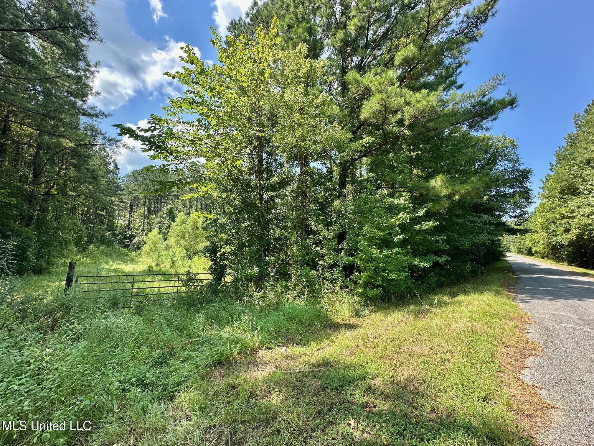 4 Prentiss Crump Road Property Photo 5