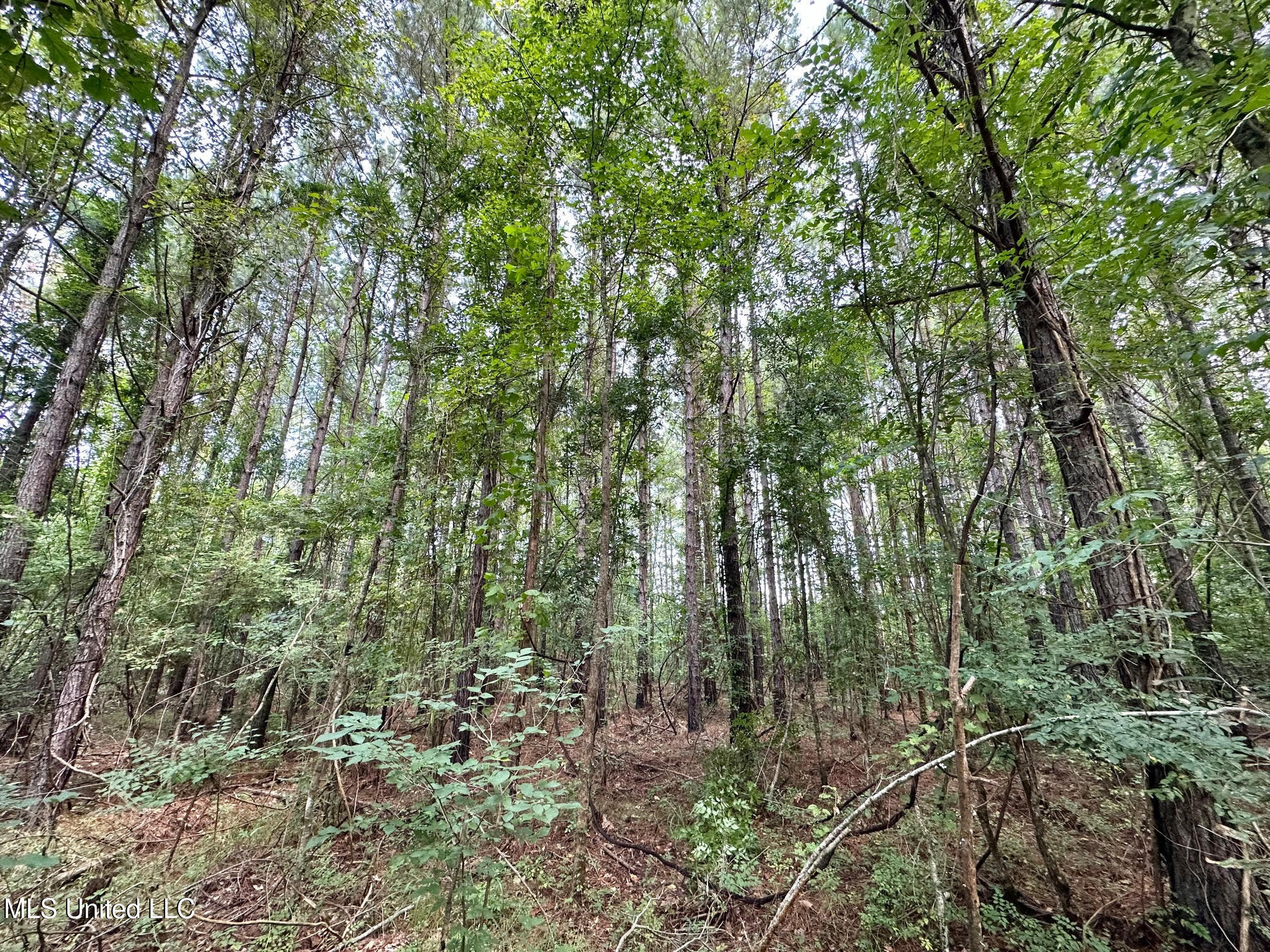 4 Prentiss Crump Road Property Photo 6