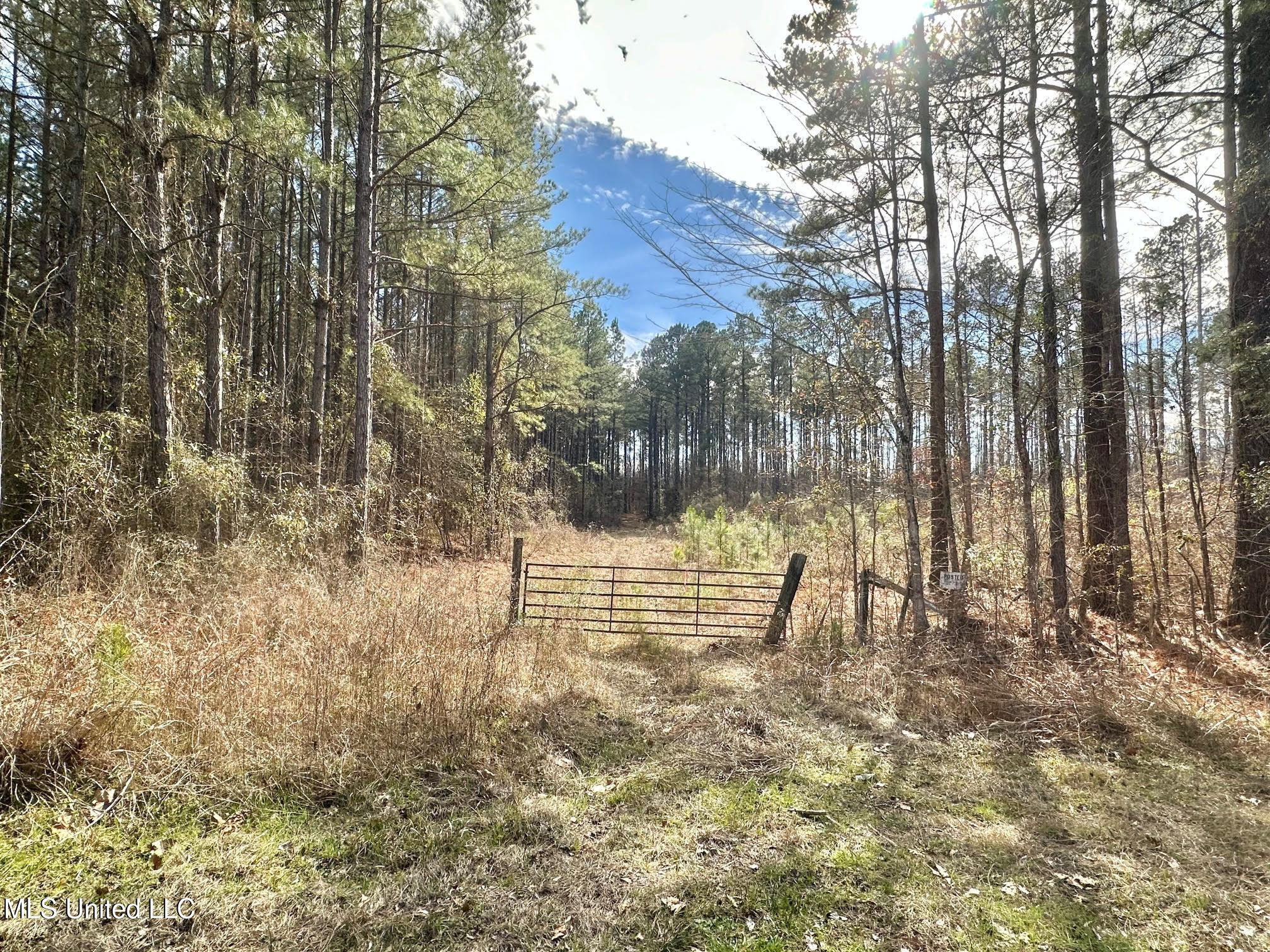 4 Prentiss Crump Road Property Photo 6