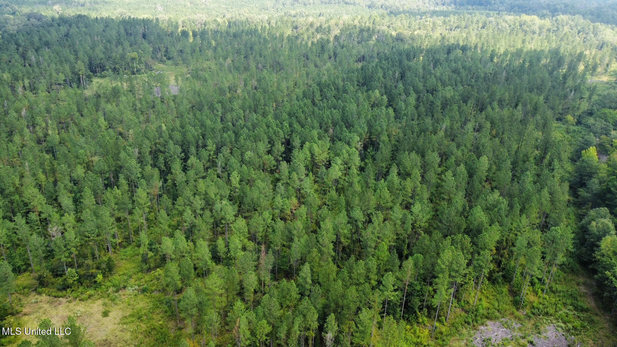 4 Prentiss Crump Road Property Photo 8