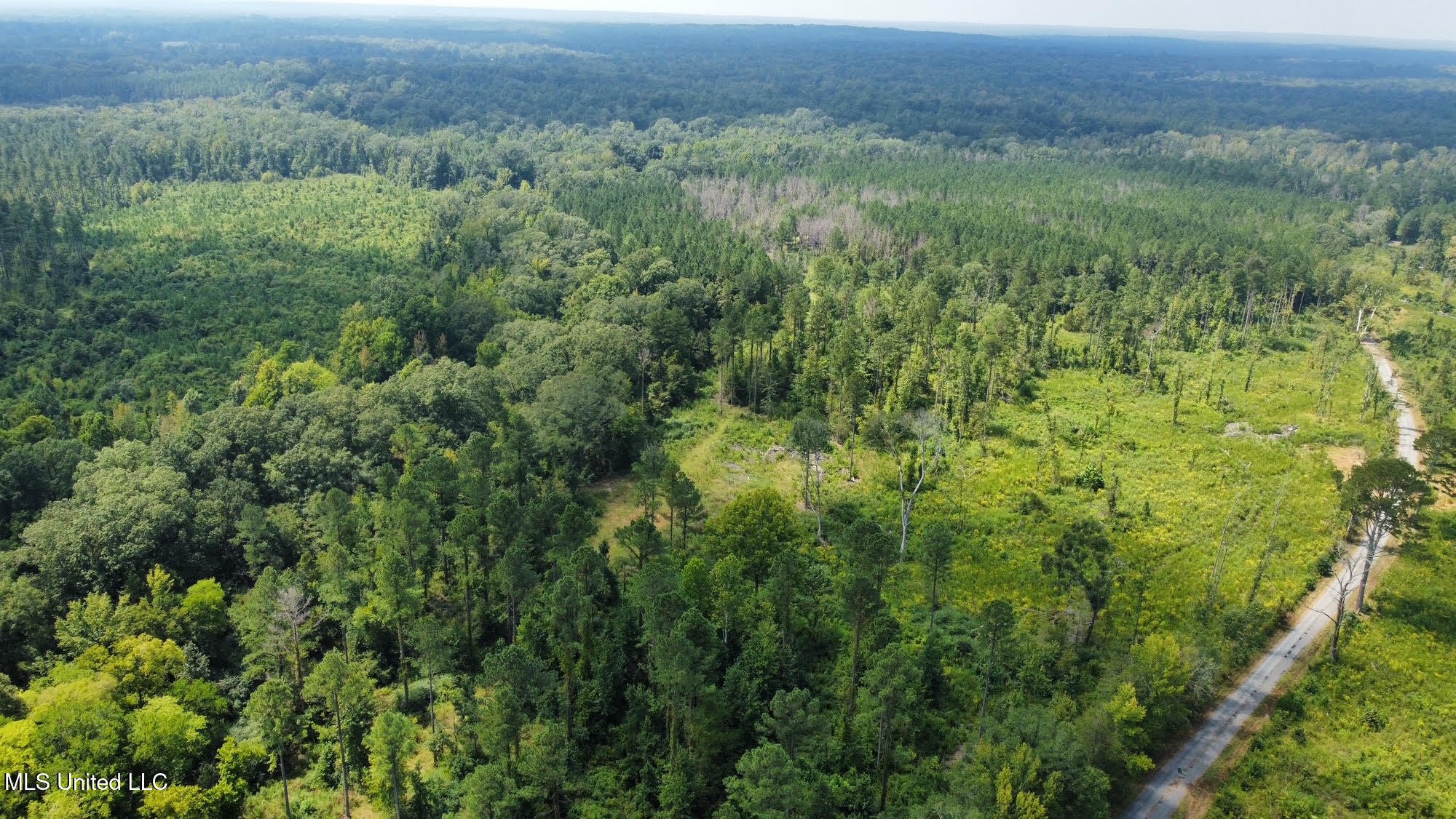 4 Prentiss Crump Road Property Photo 9