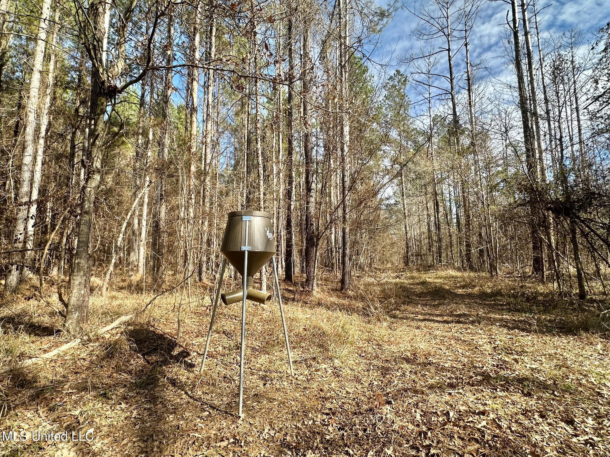 4 Prentiss Crump Road Property Photo 12