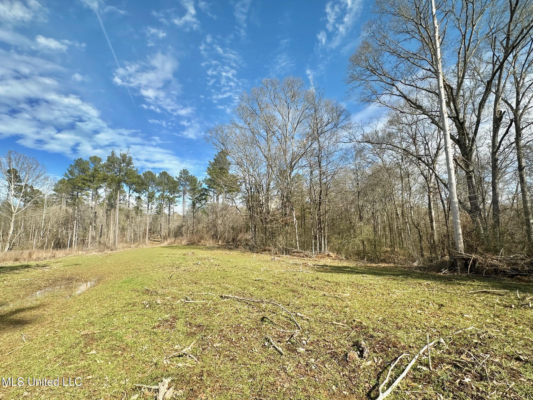 4 Prentiss Crump Road Property Photo 15