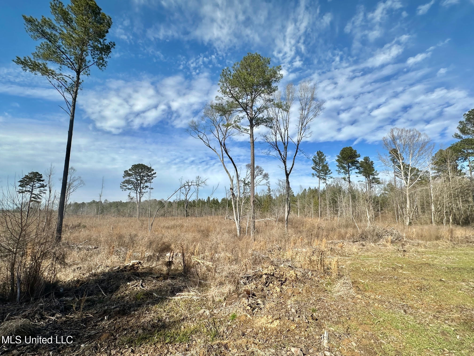 4 Prentiss Crump Road Property Photo 16