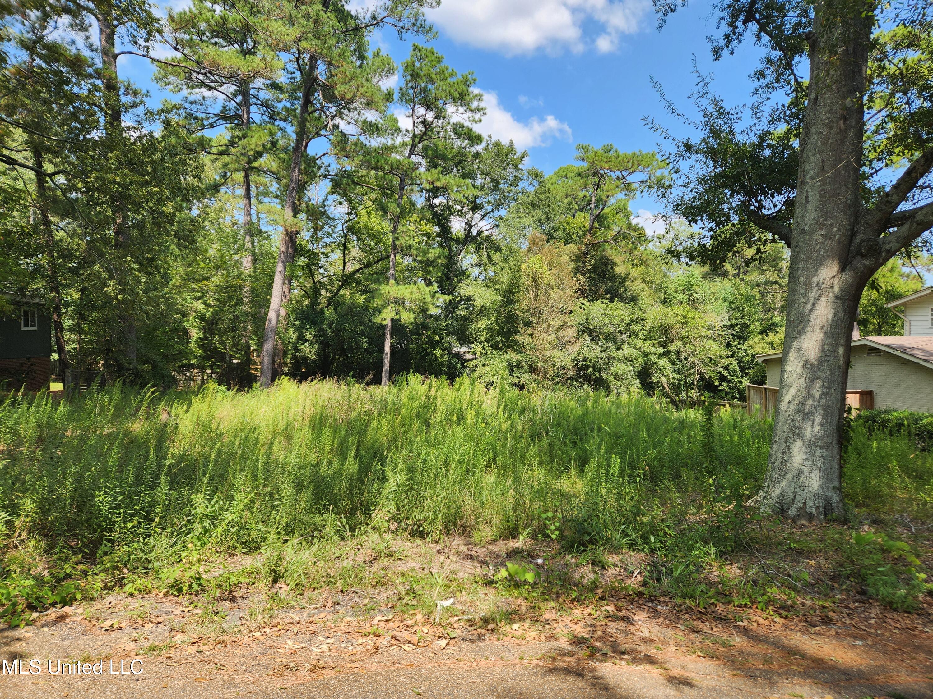 1766 Hillview Drive Property Photo 4