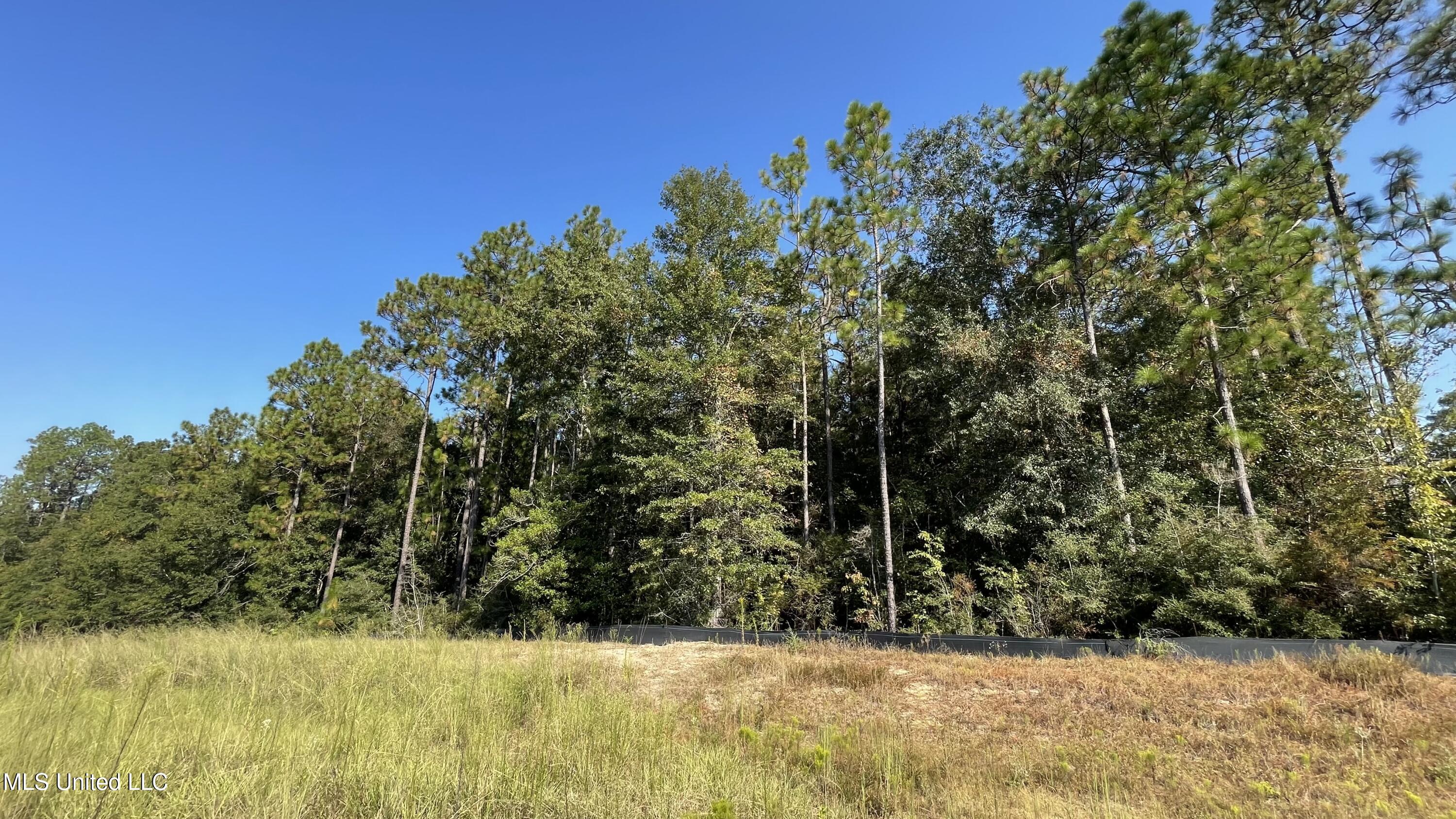 Highway 49 Property Photo 6