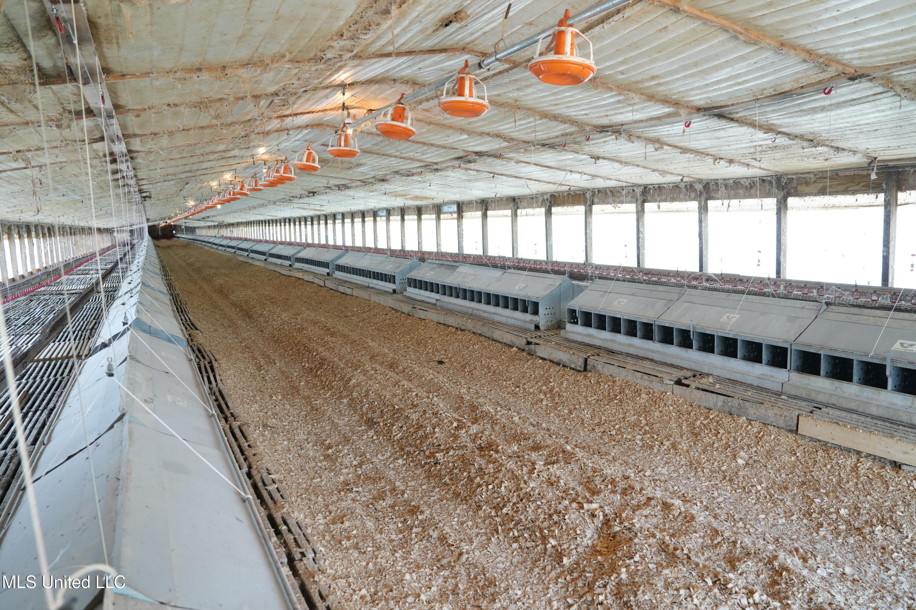 10671 Ms-427 Property Photo 5