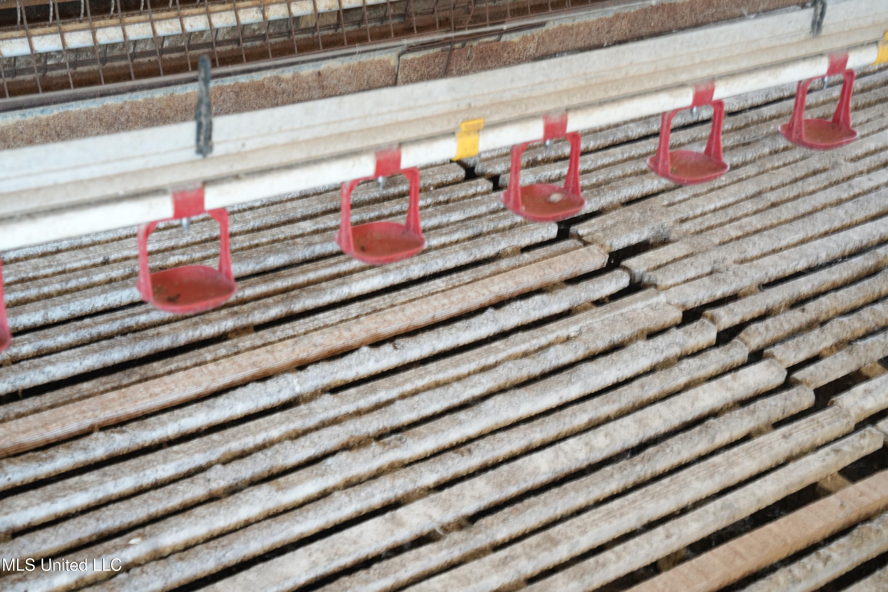 10671 Ms-427 Property Photo 6