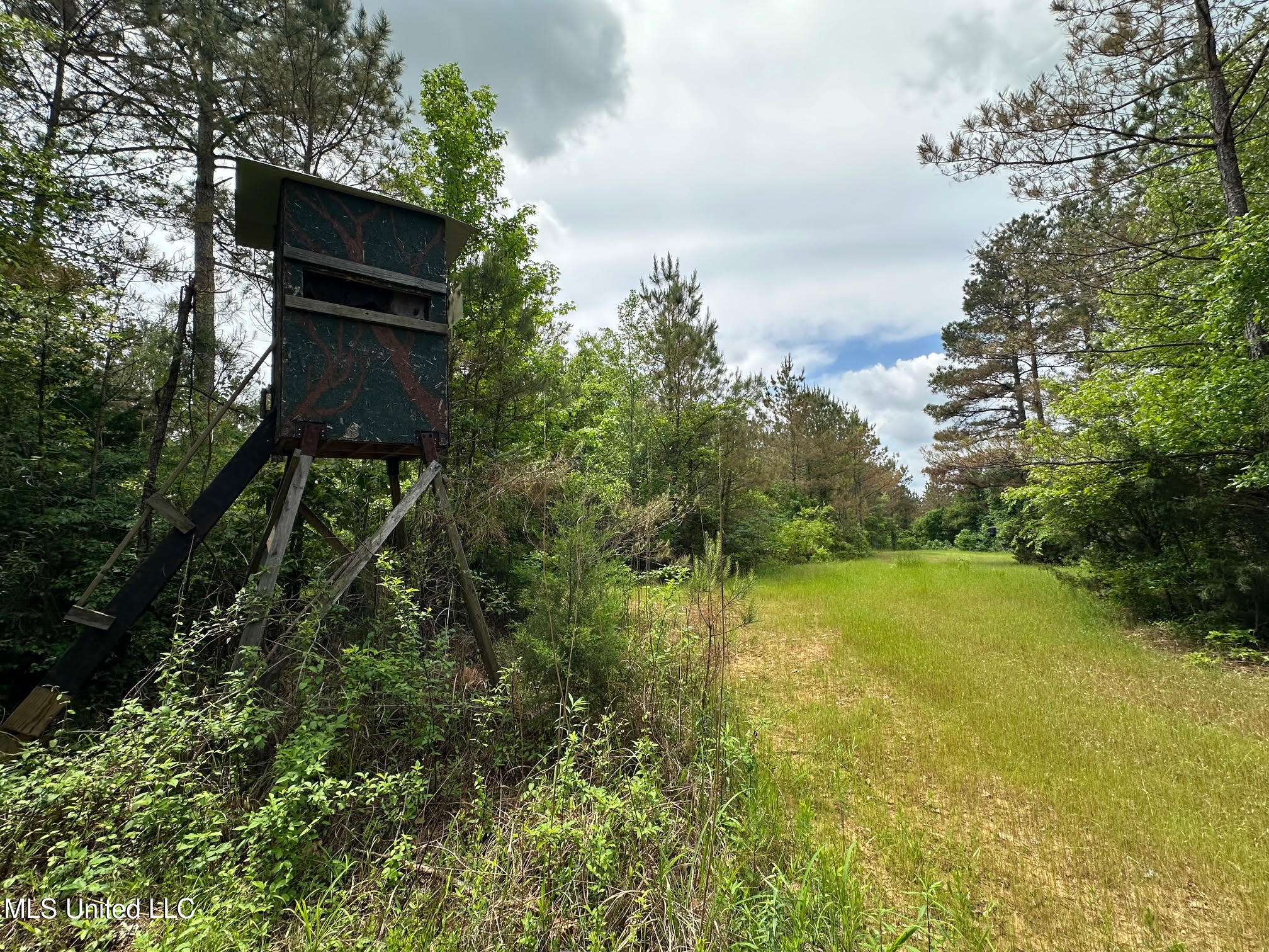 0 Highway 440 Property Photo 1