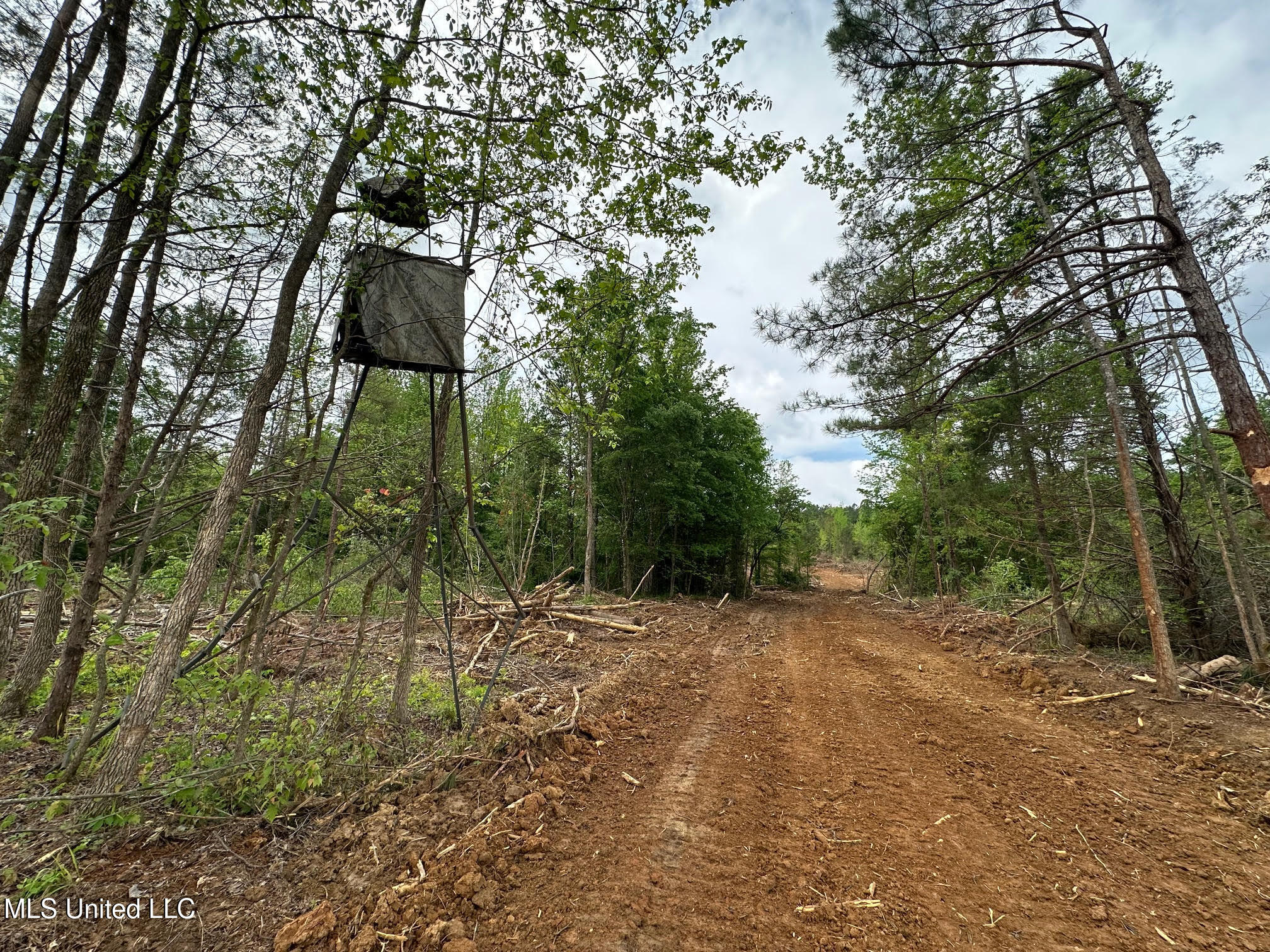 0 Highway 440 Property Photo 9