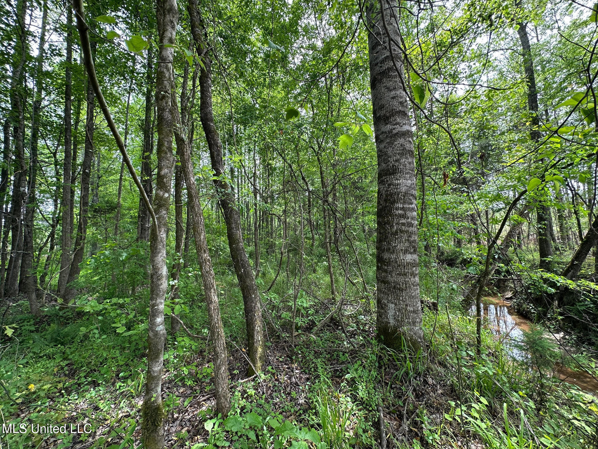 0 Highway 440 Property Photo 10