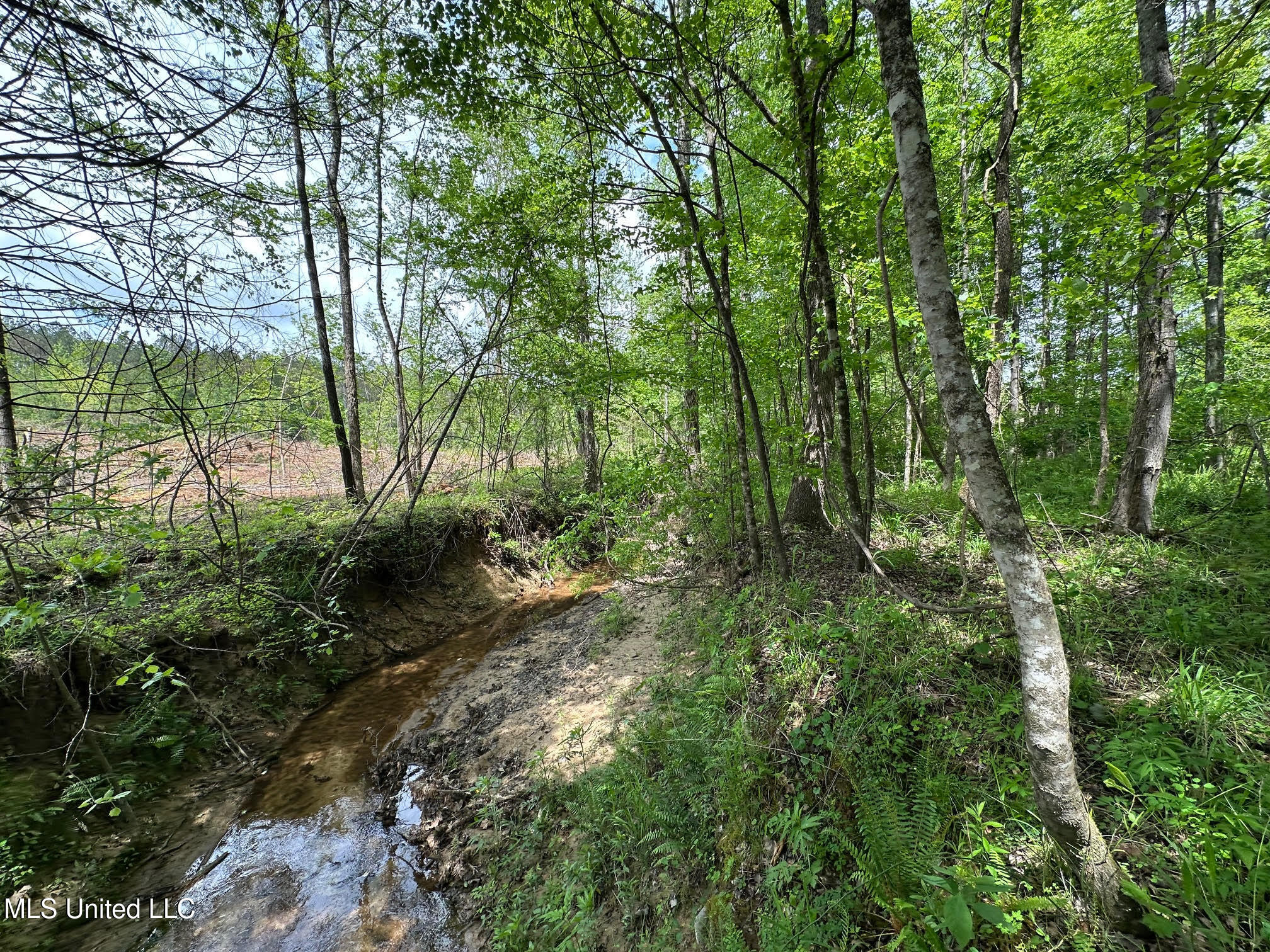 0 Highway 440 Property Photo 12