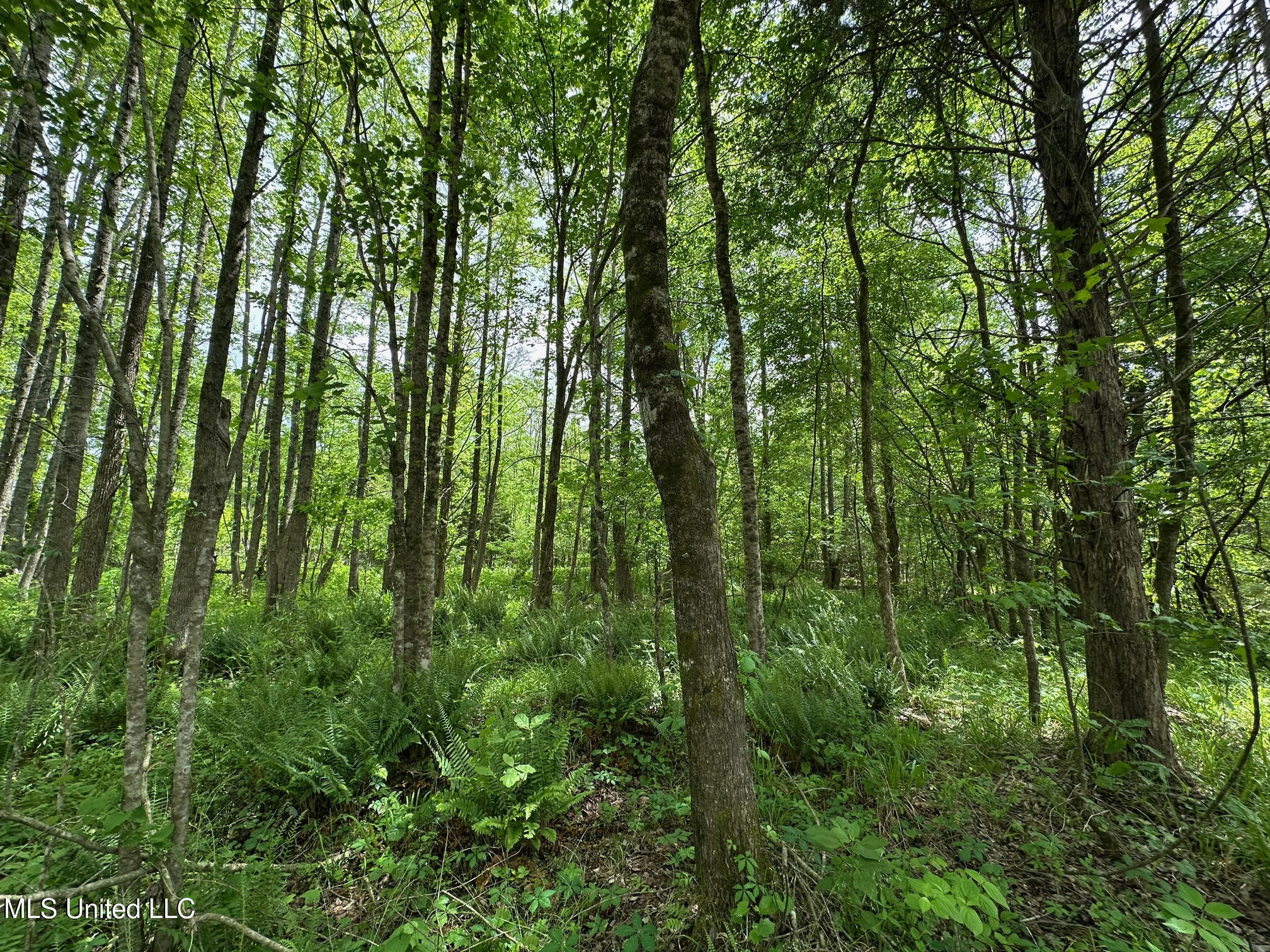 0 Highway 440 Property Photo 13