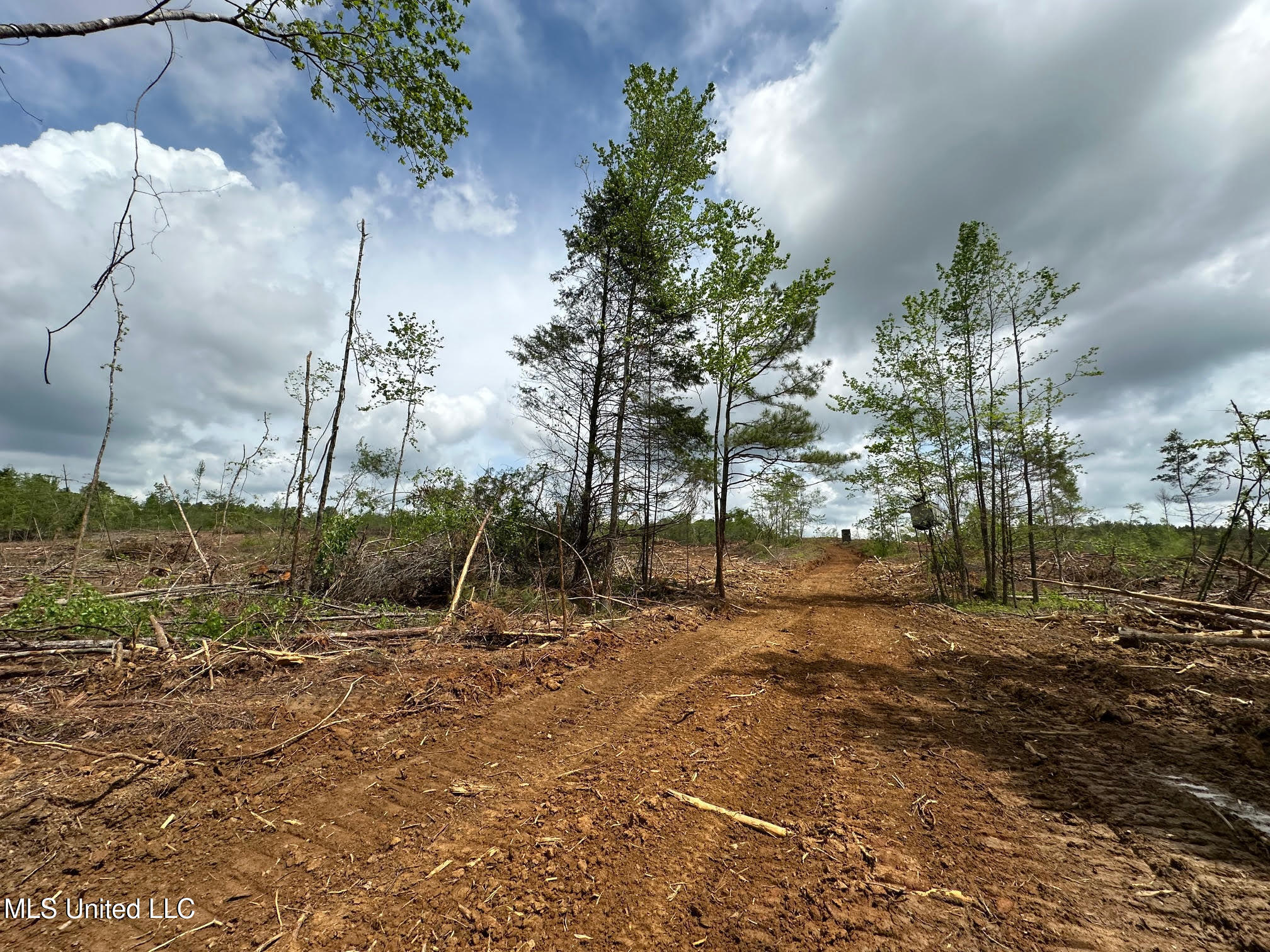 0 Highway 440 Property Photo 14