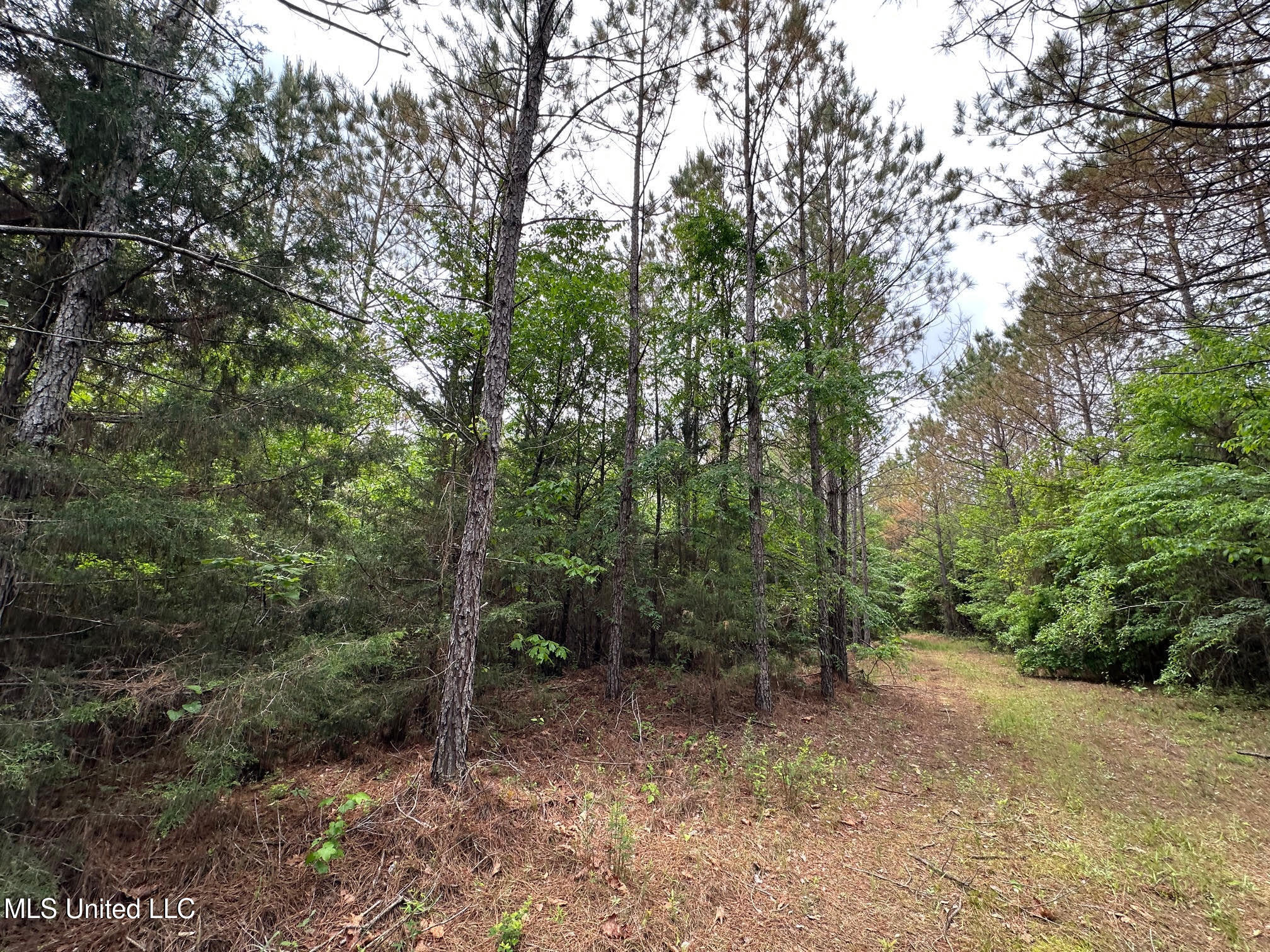 0 Highway 440 Property Photo 22