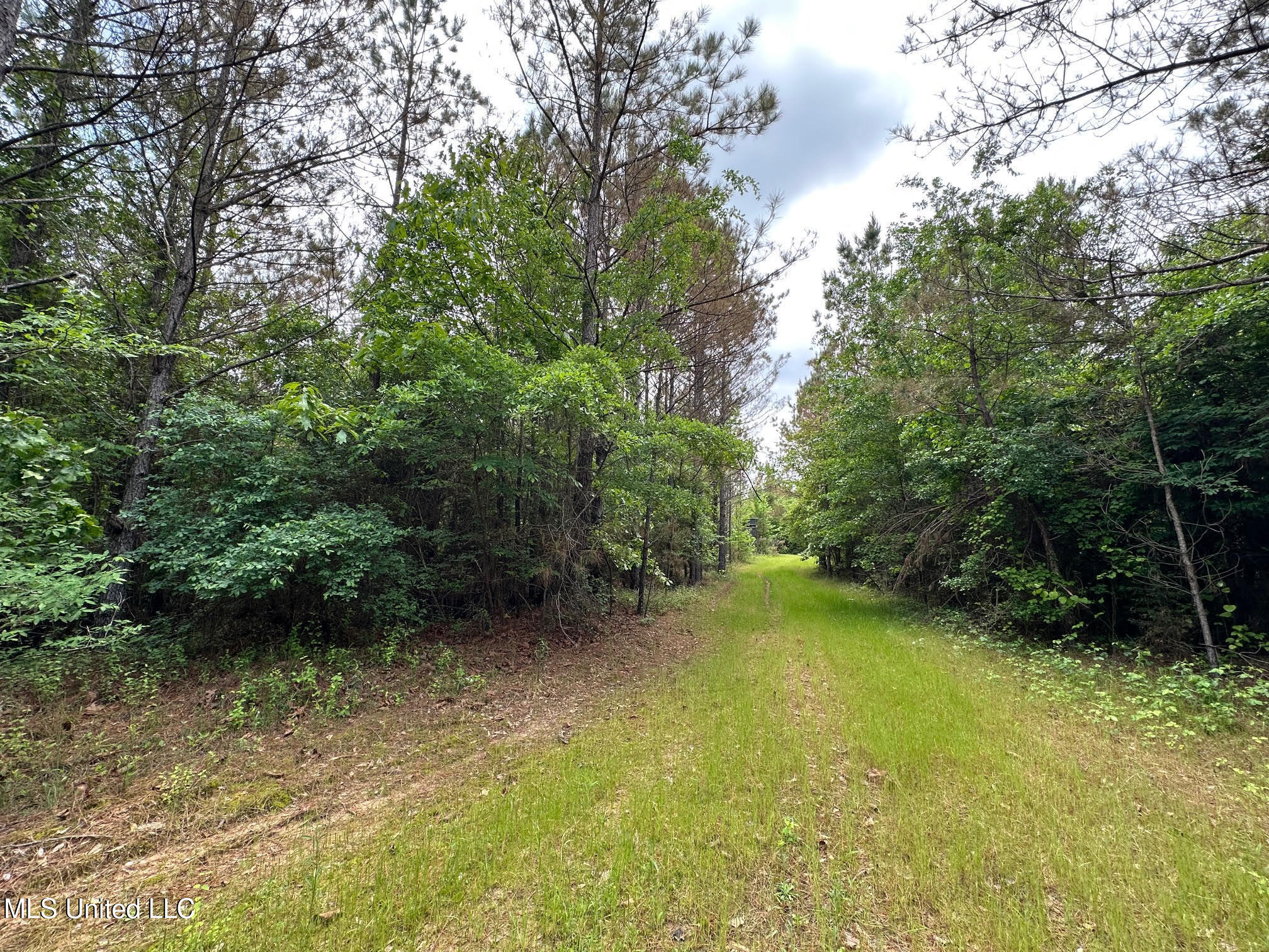 0 Highway 440 Property Photo 23