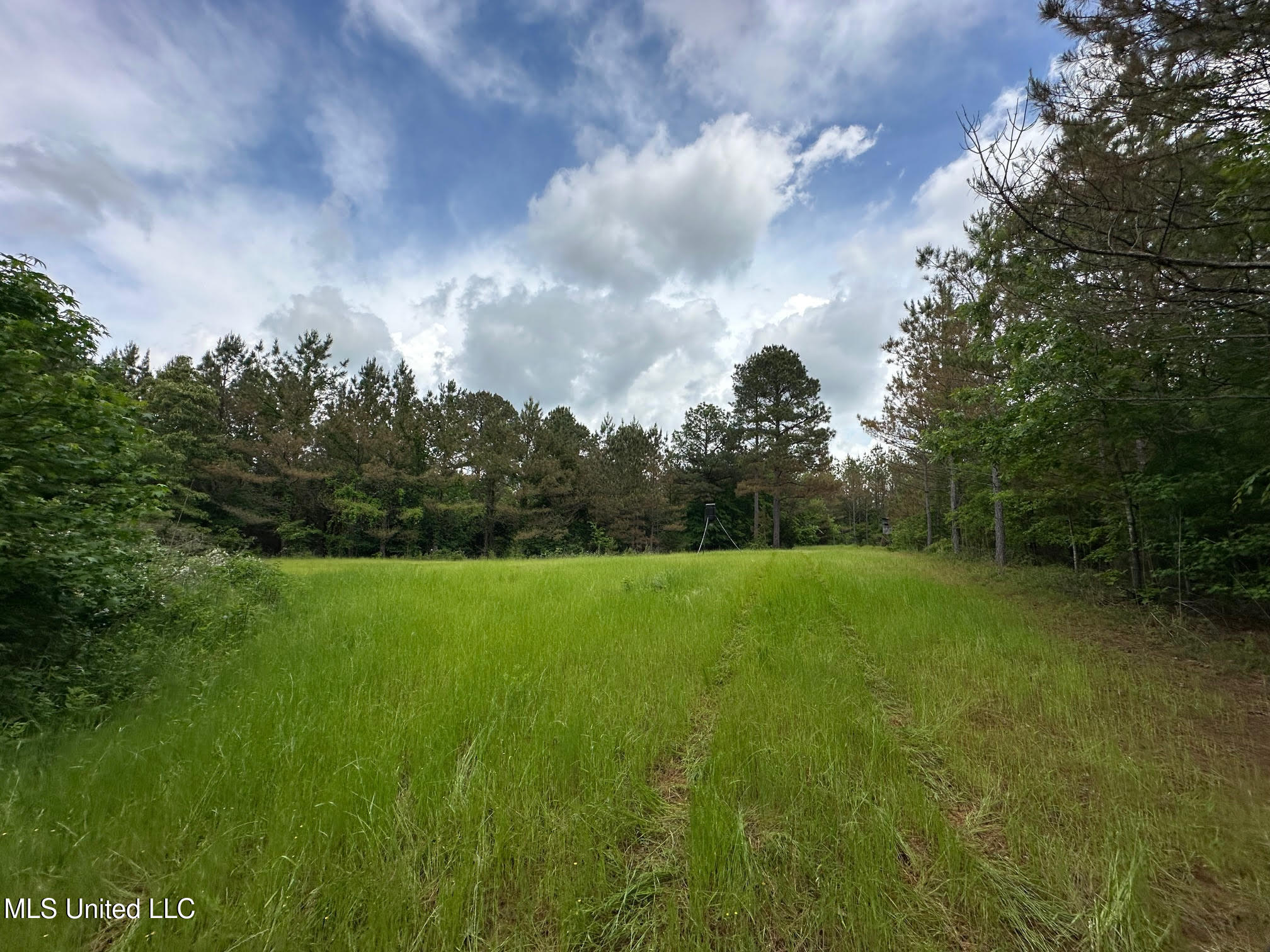 0 Highway 440 Property Photo 26