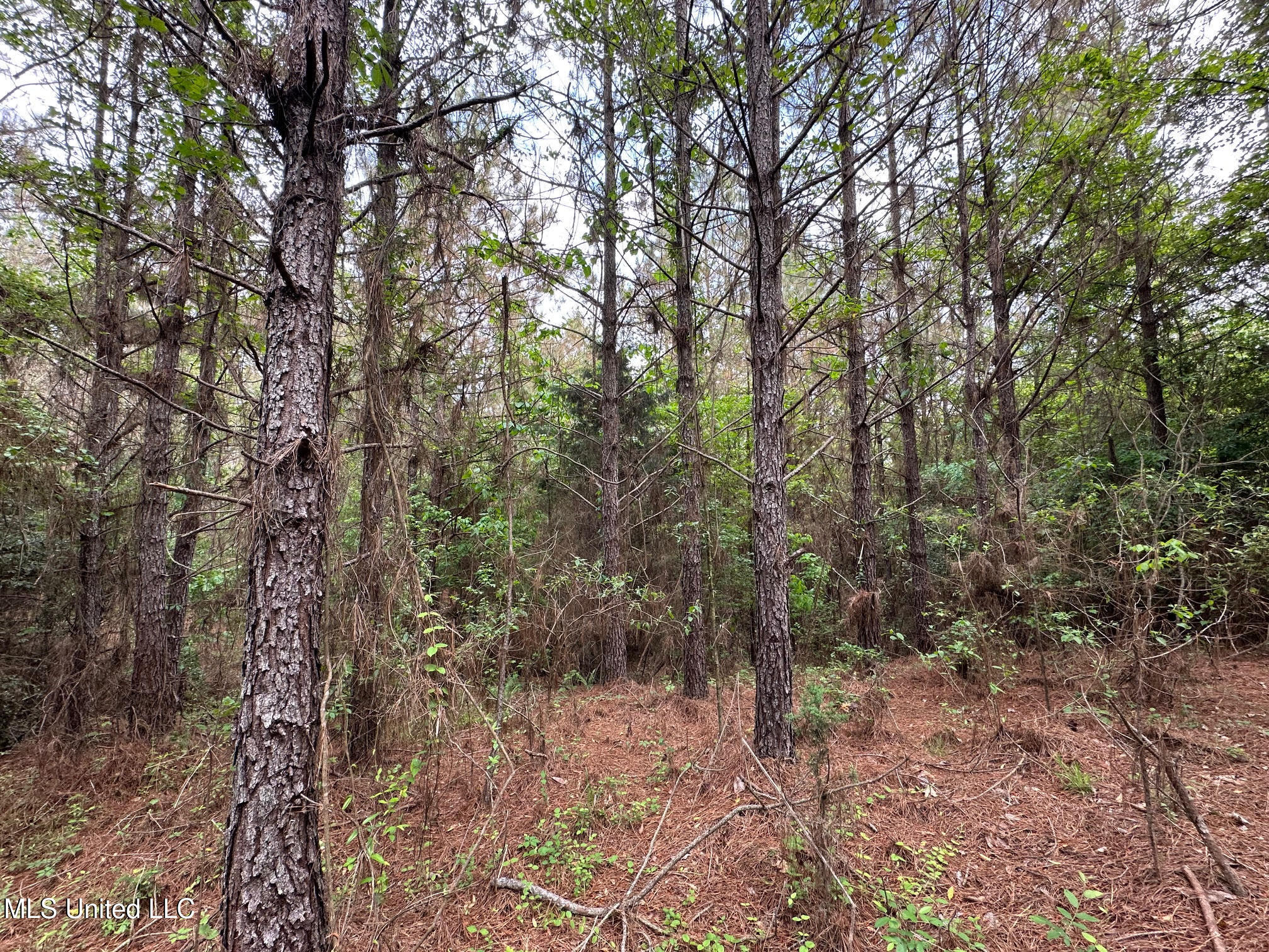 0 Highway 440 Property Photo 27