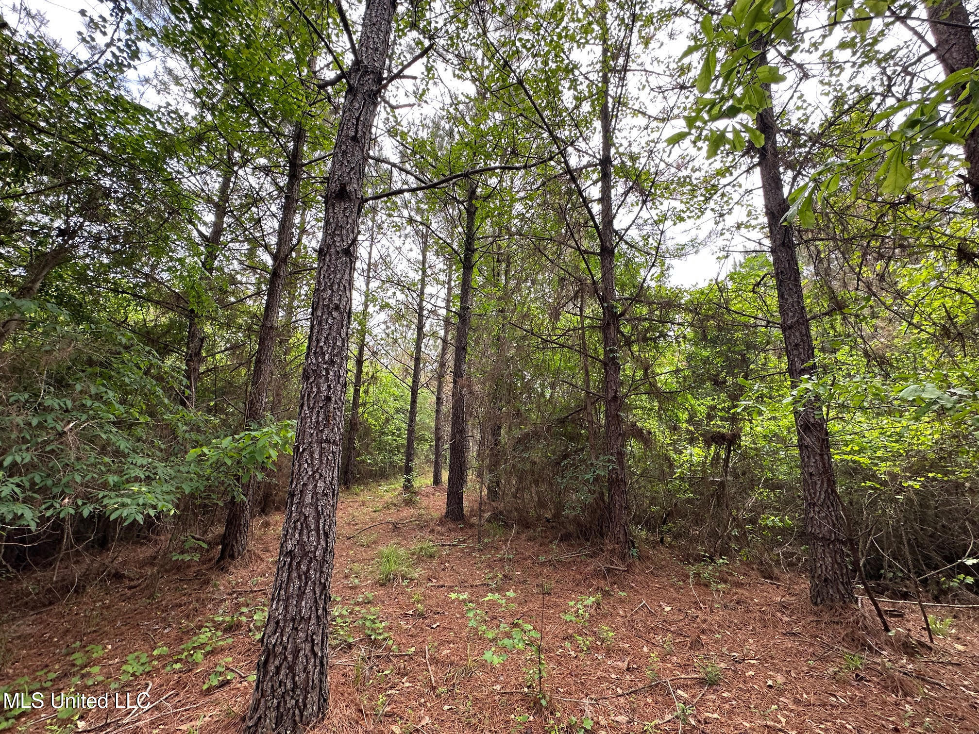 0 Highway 440 Property Photo 28