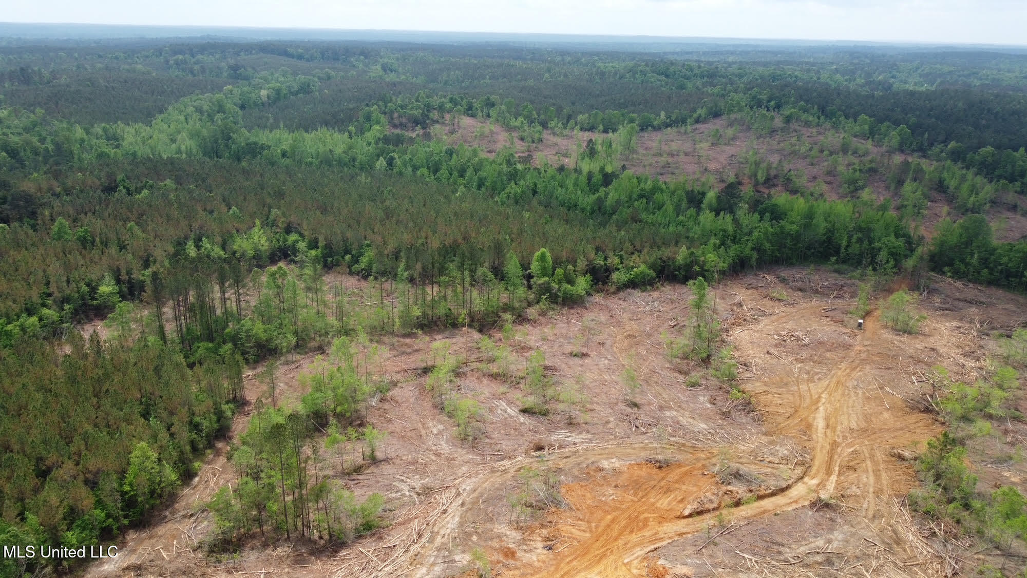 0 Highway 440 Property Photo 29