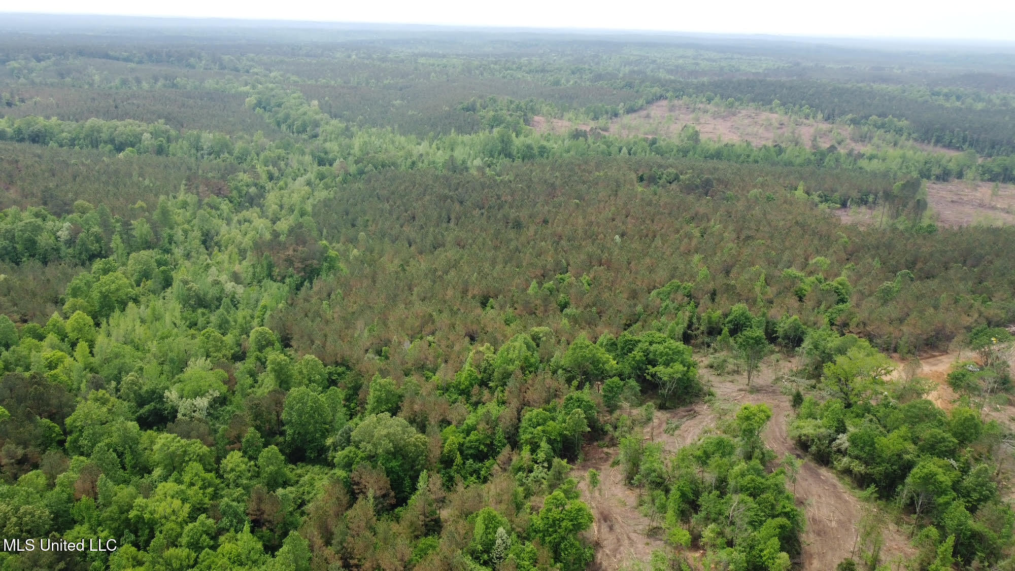 0 Highway 440 Property Photo 35