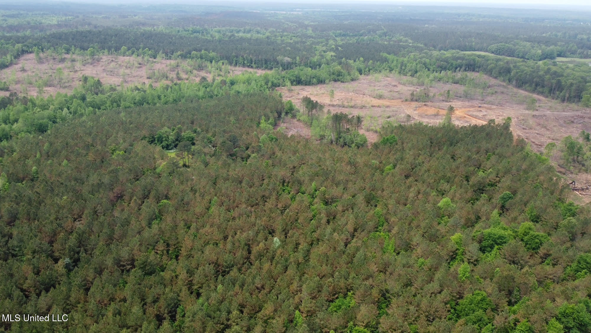 0 Highway 440 Property Photo 37