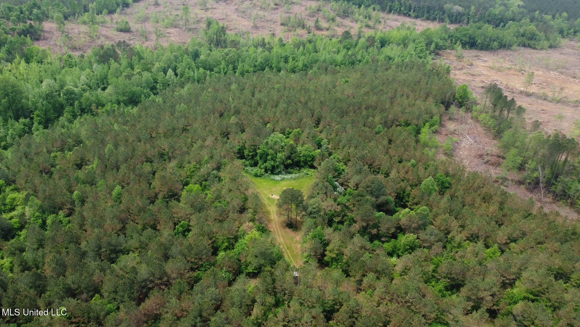 0 Highway 440 Property Photo 38