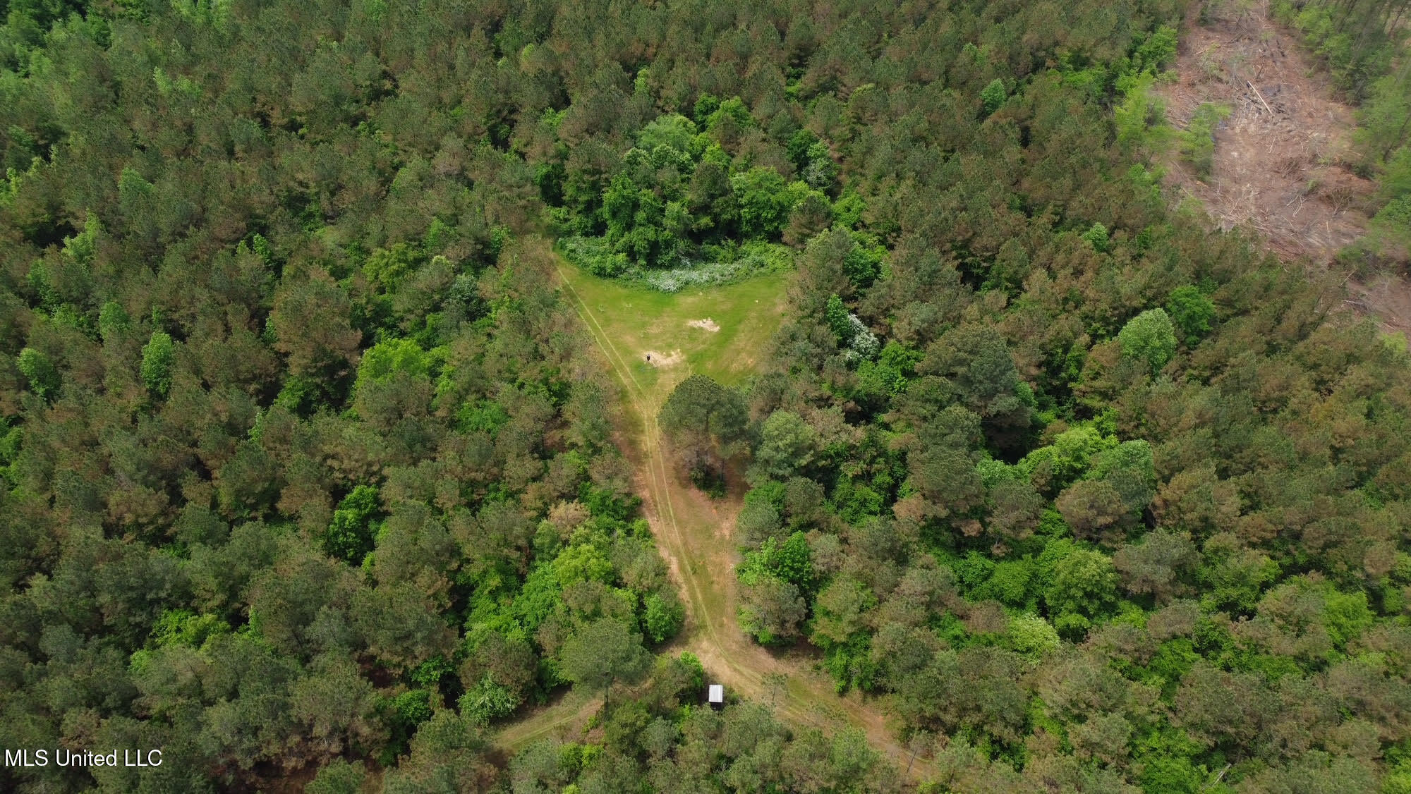 0 Highway 440 Property Photo 39