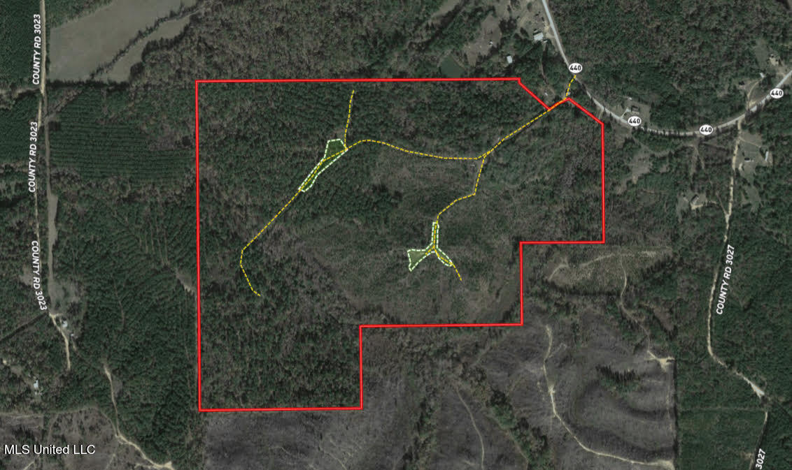 0 Highway 440 Property Photo 40