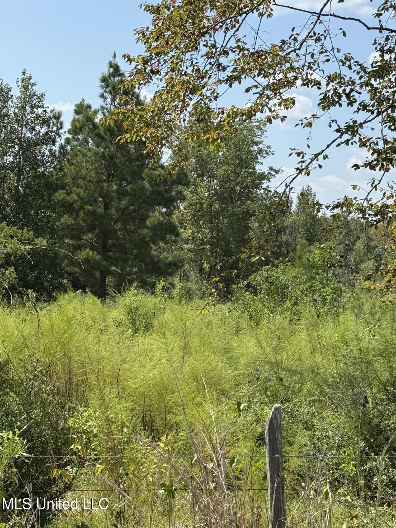 Alex Road Property Photo 3