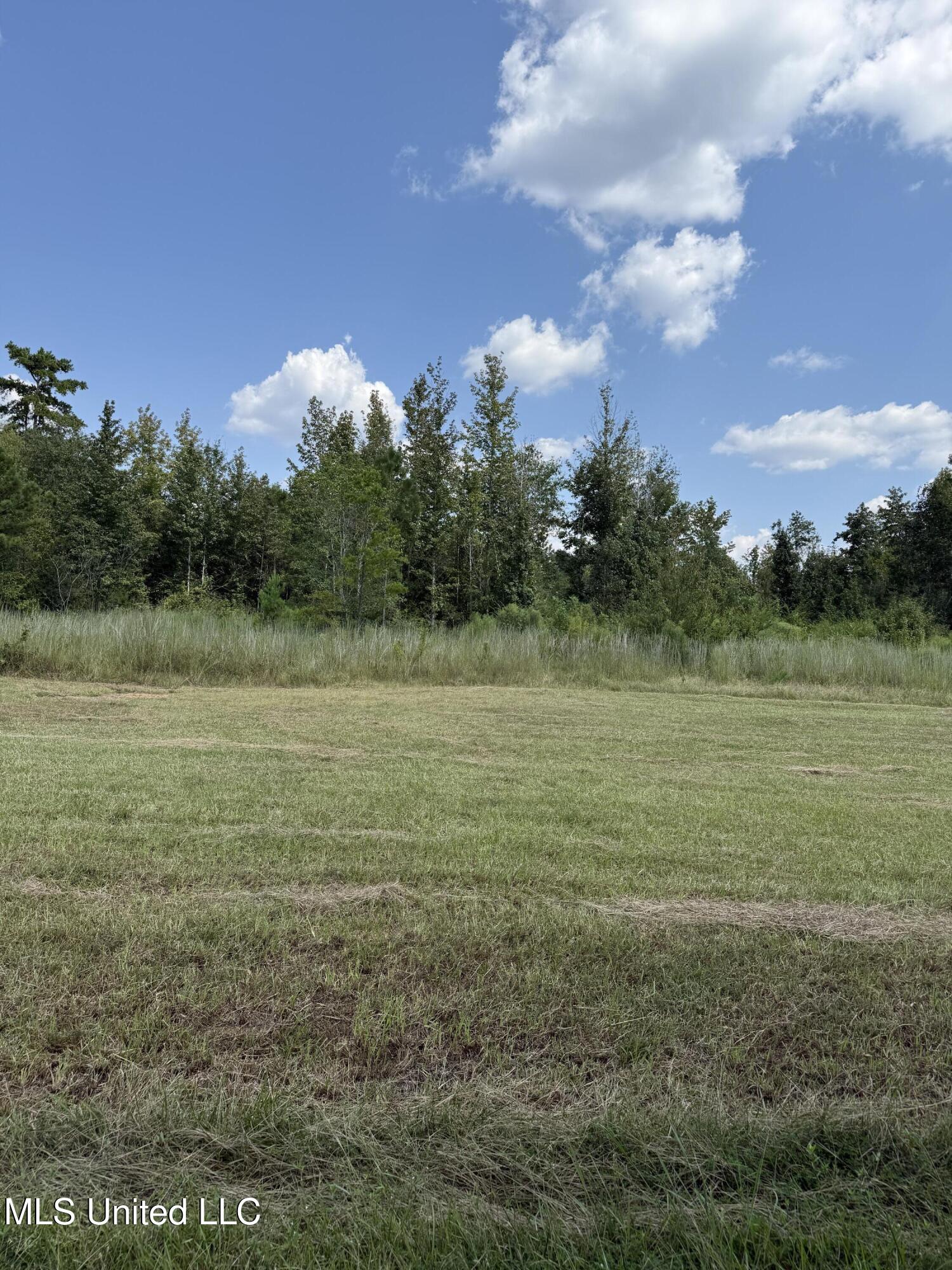 Alex Road Property Photo 5