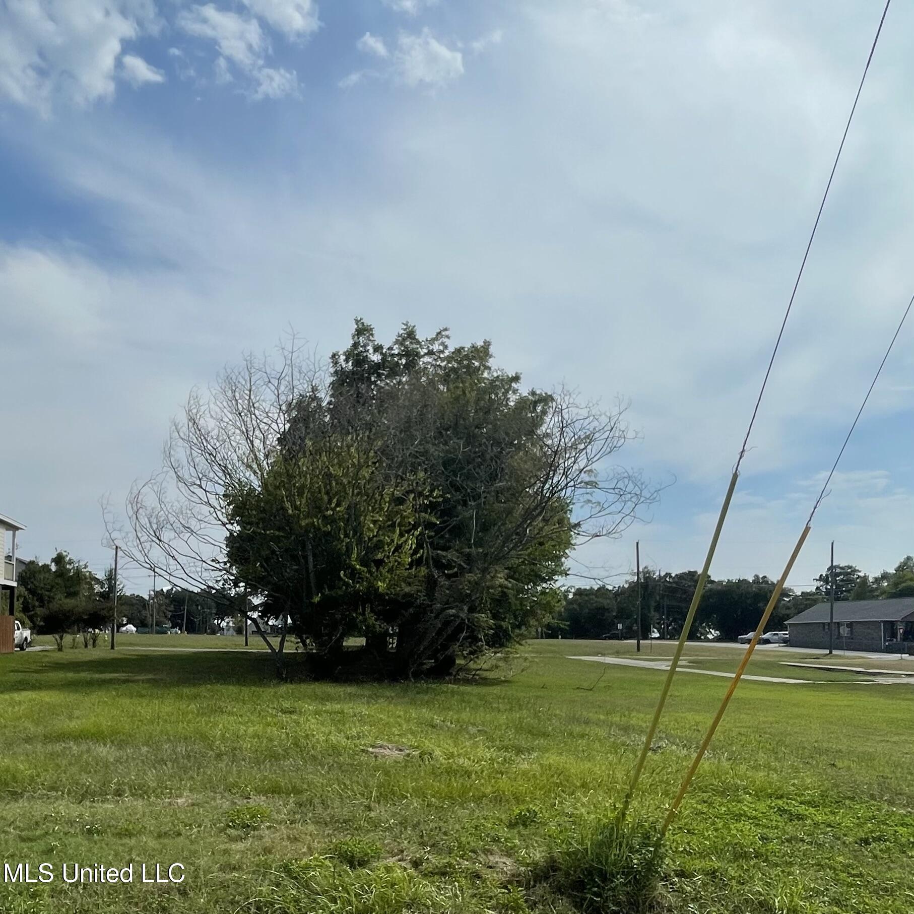 387 Richmond Drive Property Photo 2