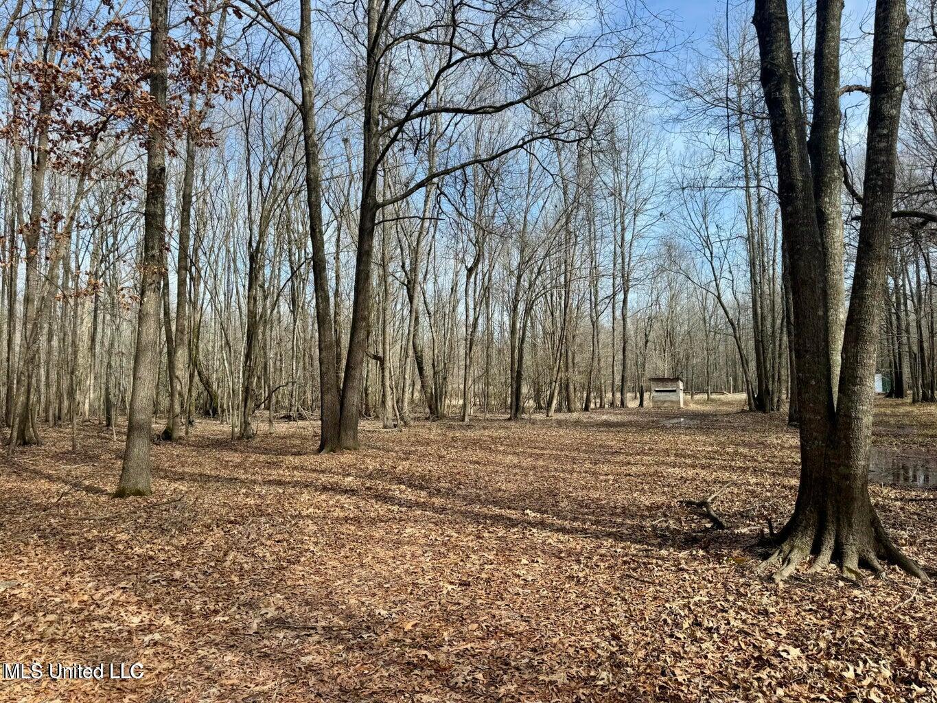 Putnam Road Property Photo 8