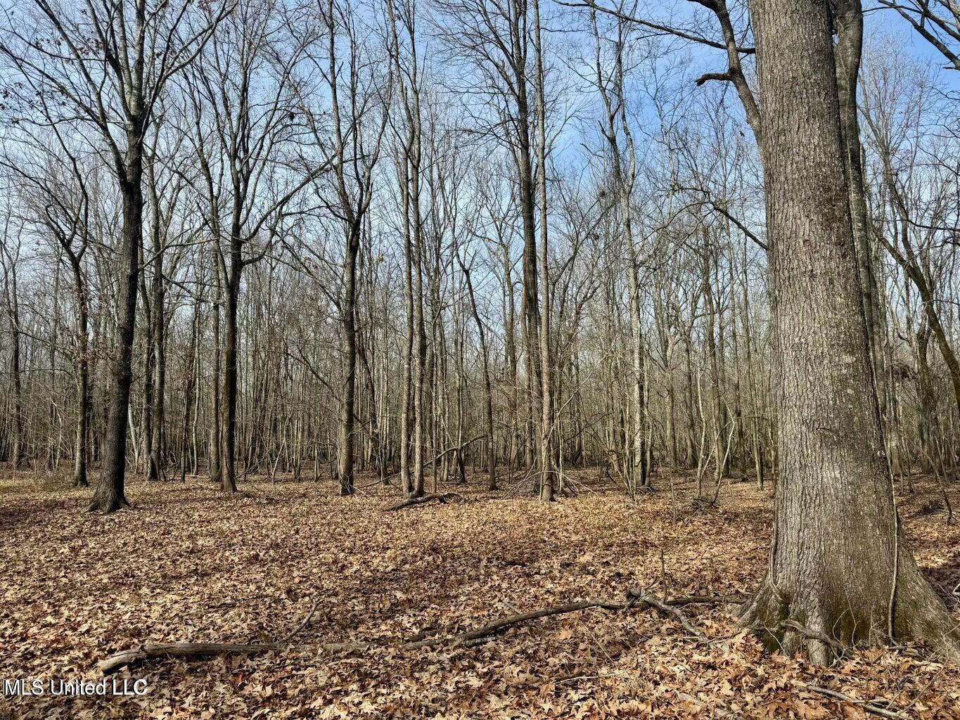 Putnam Road Property Photo 9