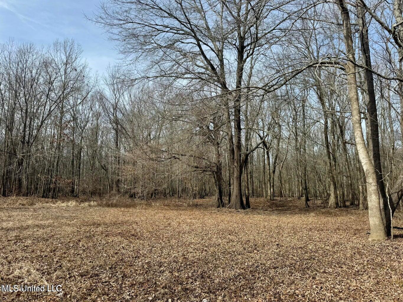 Putnam Road Property Photo 10