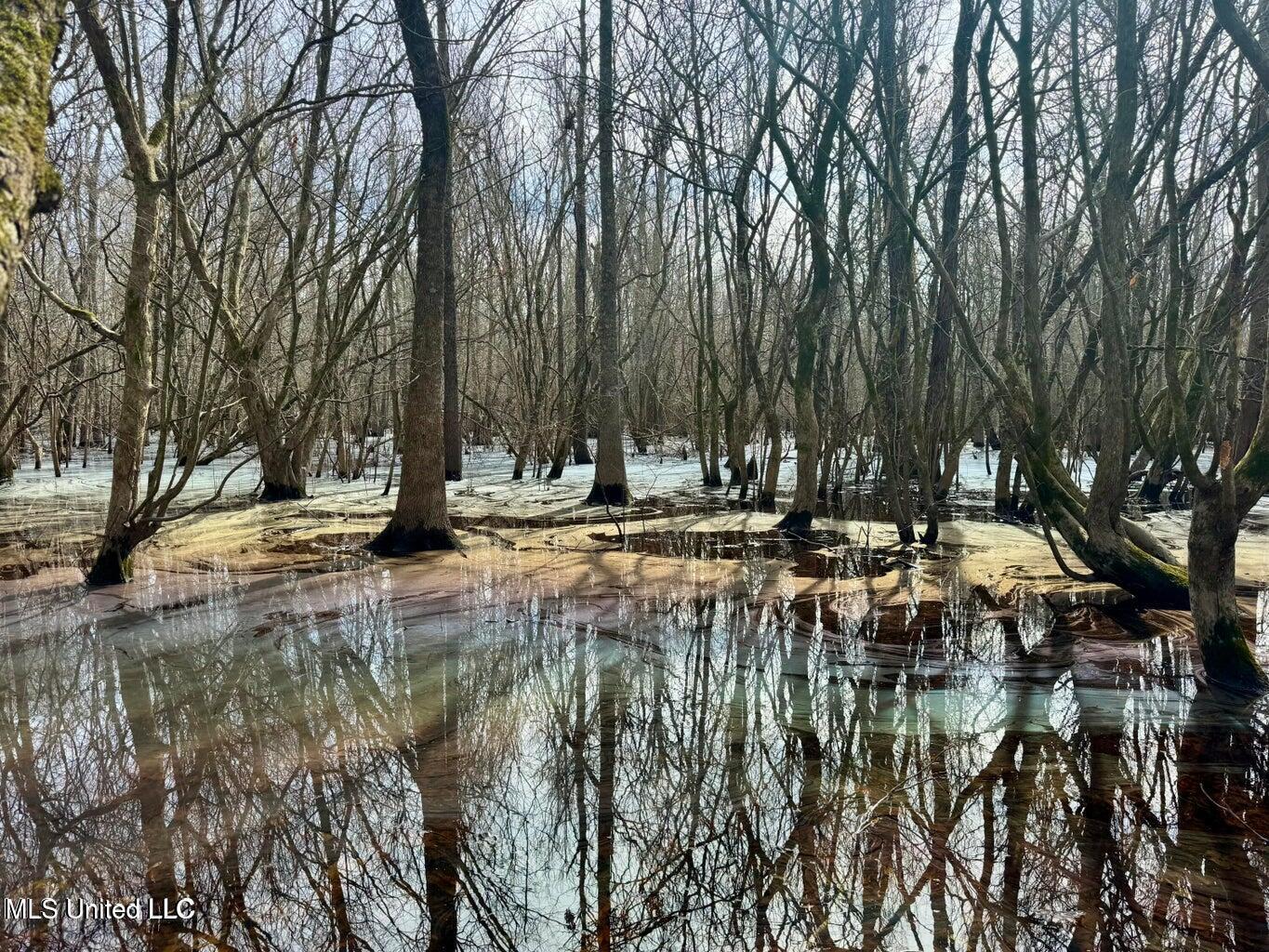 Putnam Road Property Photo 11