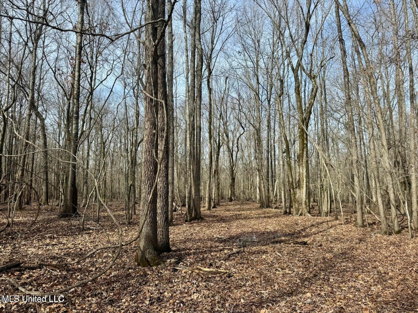 Putnam Road Property Photo 12