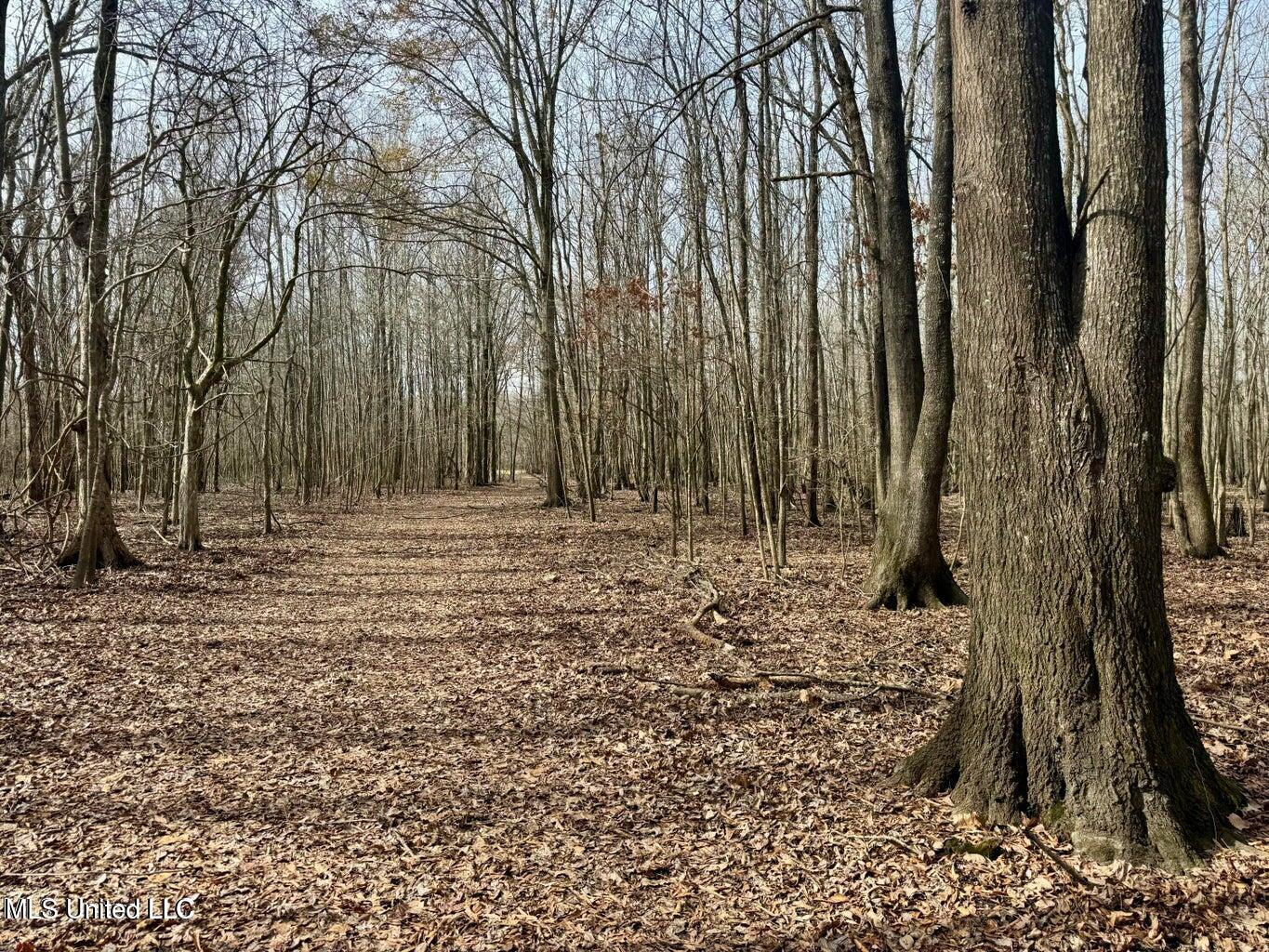 Putnam Road Property Photo 13