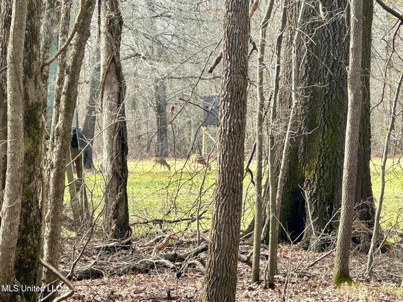 Putnam Road Property Photo 14