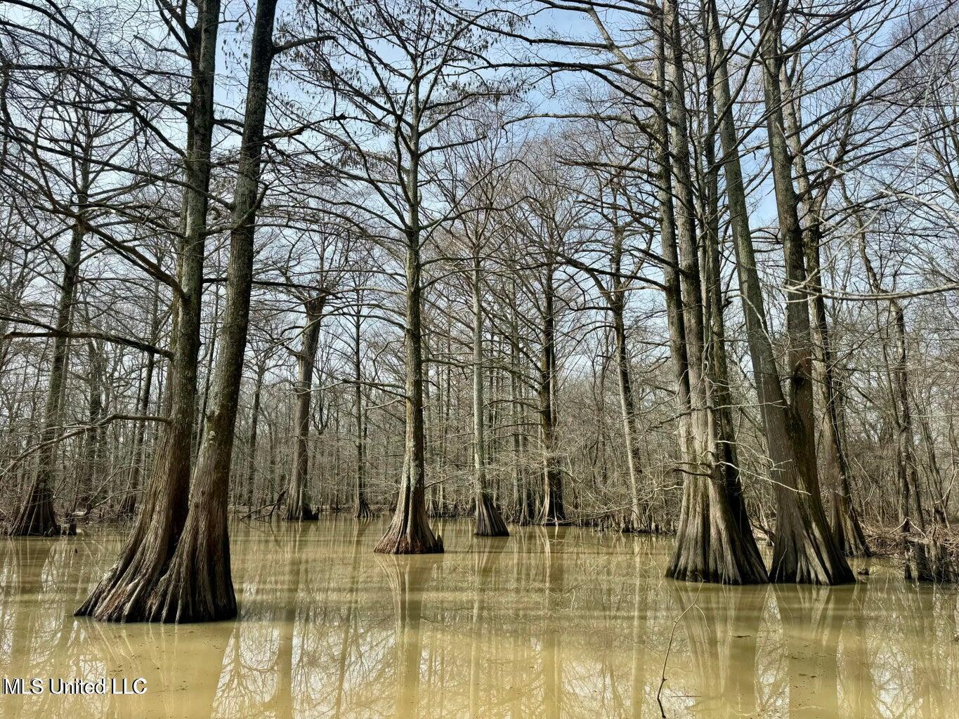 Putnam Road Property Photo 17