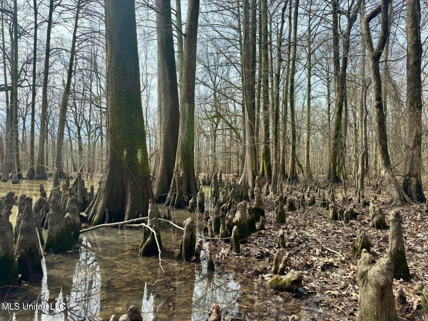 Putnam Road Property Photo 18