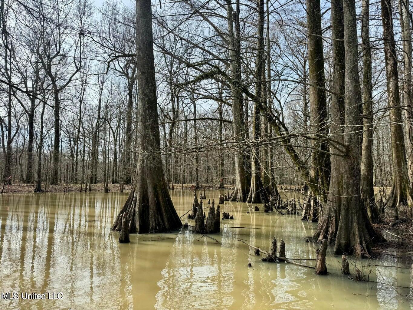 Putnam Road Property Photo 19