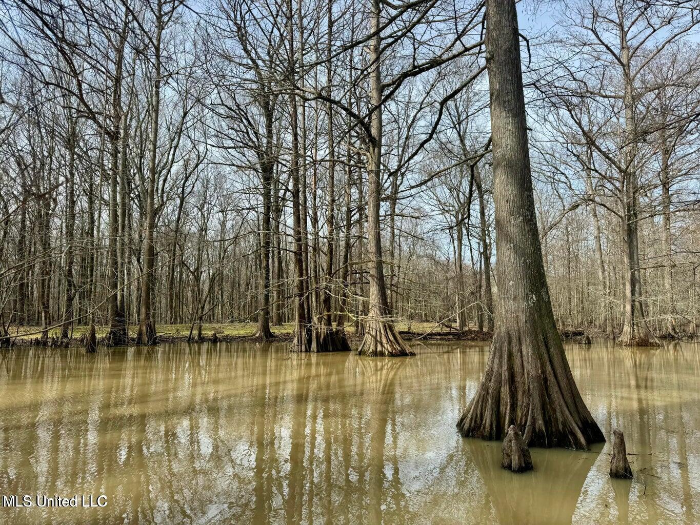 Putnam Road Property Photo 20