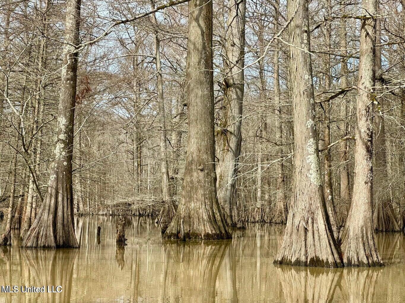 Putnam Road Property Photo 22