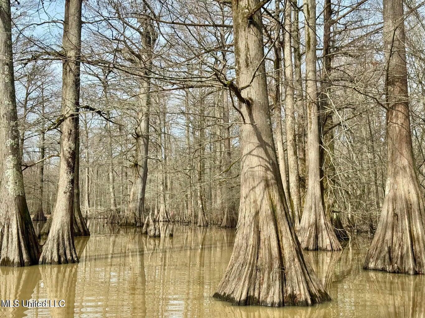 Putnam Road Property Photo 23