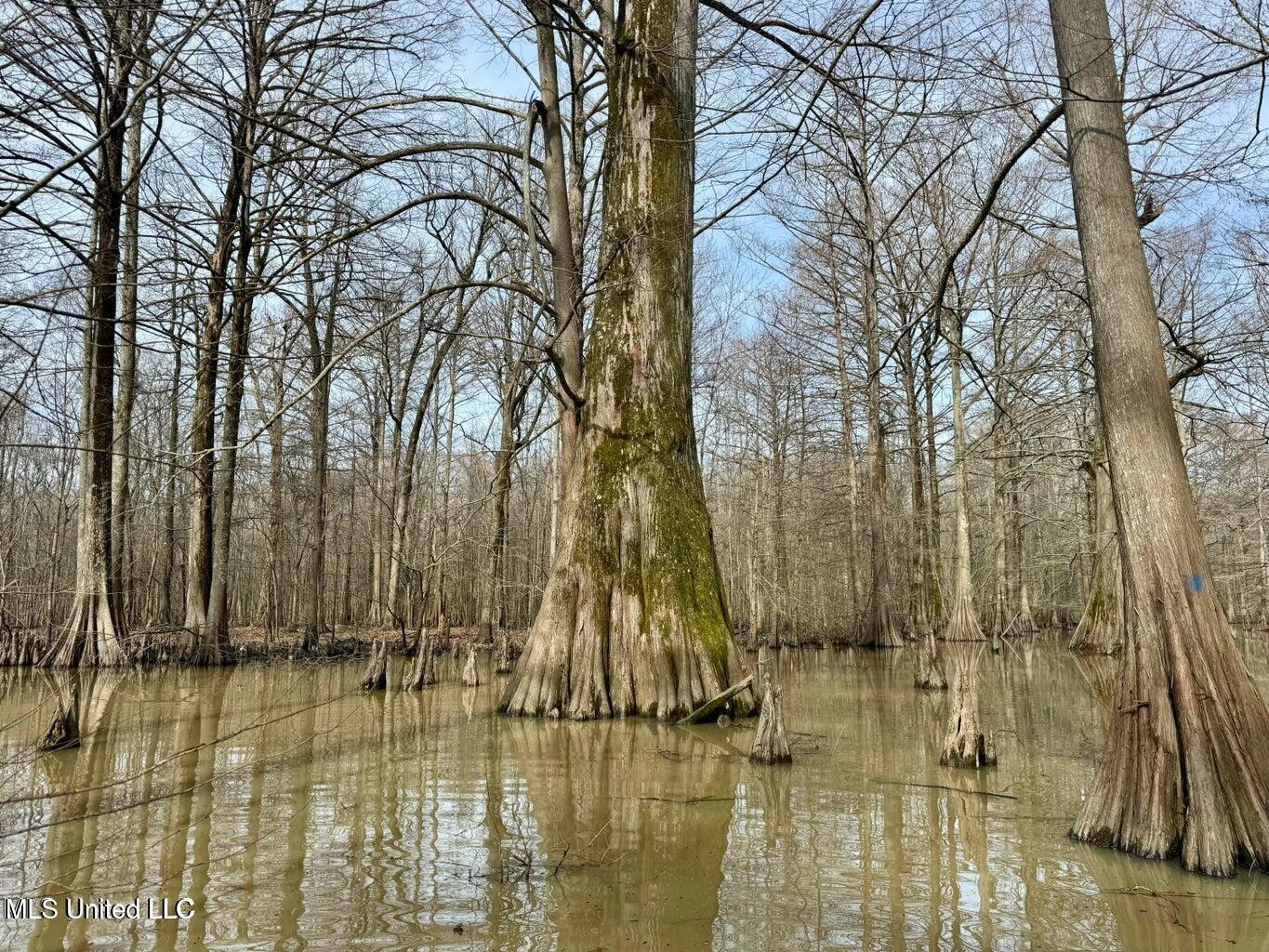 Putnam Road Property Photo 24