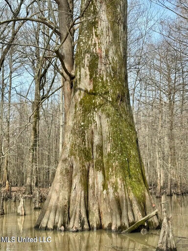 Putnam Road Property Photo 25