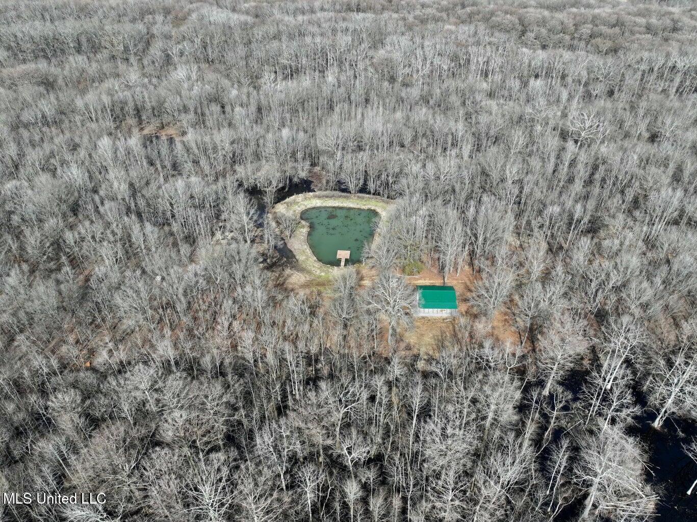 Putnam Road Property Photo 31