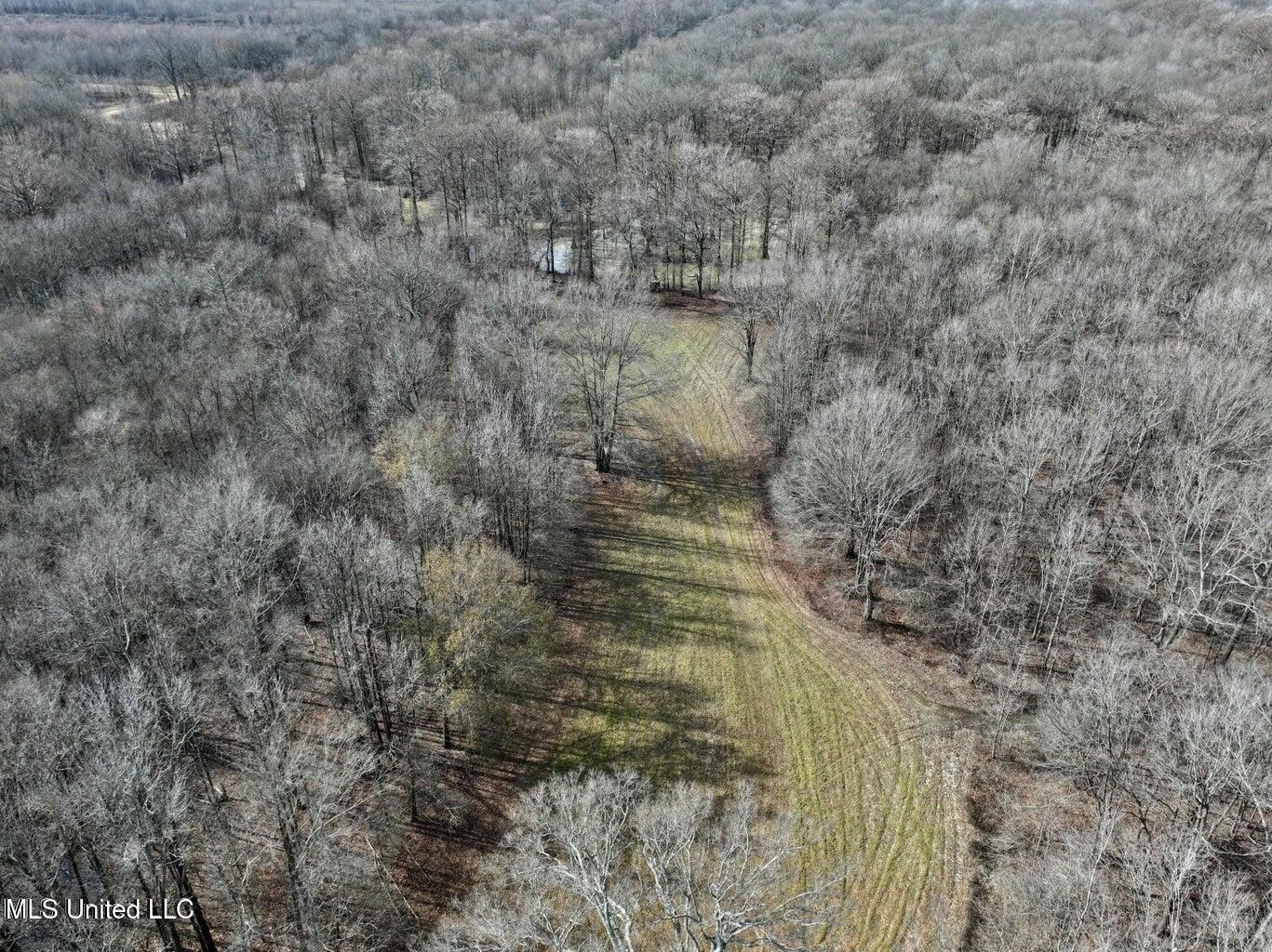 Putnam Road Property Photo 32